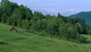 Małe Pieniny